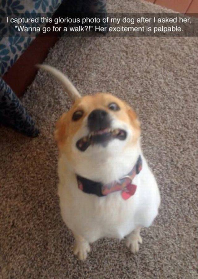 daily picdump 95 pics 12.html - 95 HD Photos | Premium Gallery 2015