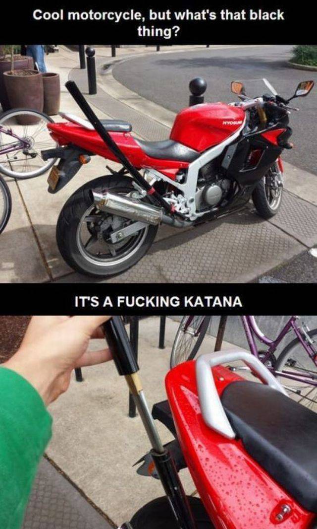 daily picdump 95 pics 12.html - 95 HD Photos | Premium Gallery 2015