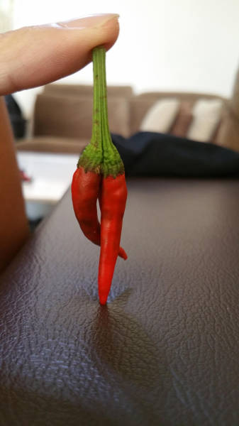 morning picdump 54 pics 14.html - 54 HD Photos | Premium Gallery 2015