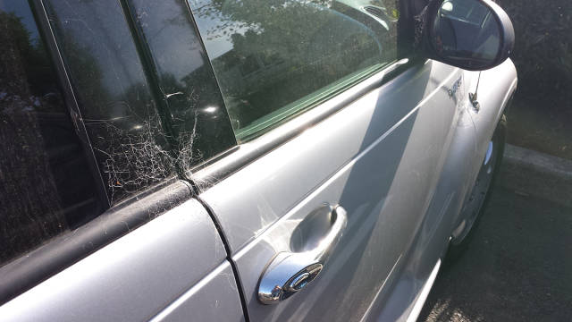 morning picdump 54 pics 14.html - 54 HD Photos | Premium Gallery 2015