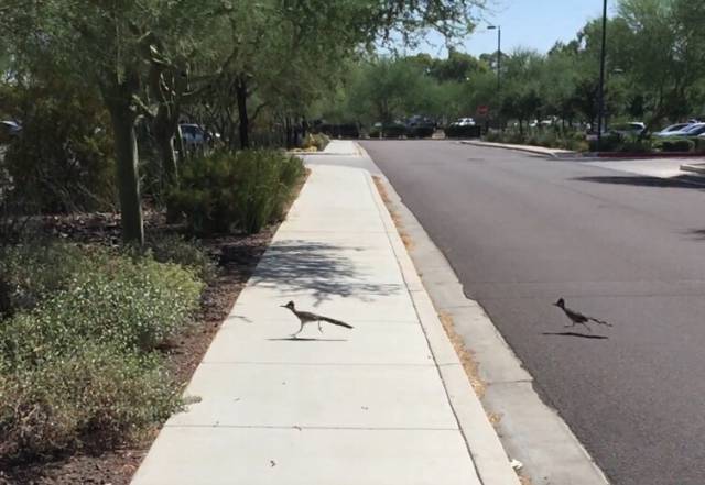 morning picdump 54 pics 14.html - 54 HD Photos | Premium Gallery 2015