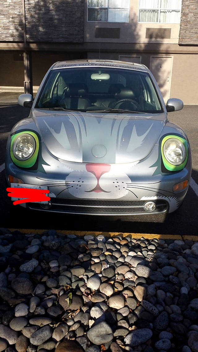 morning picdump 54 pics 14.html - 54 HD Photos | Premium Gallery 2015