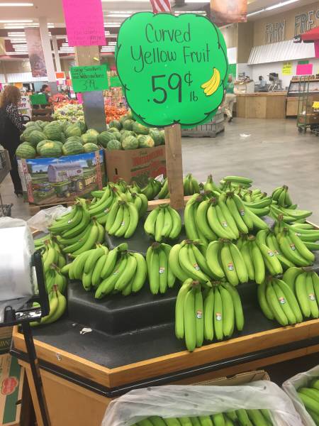 morning picdump 50 pics 20.html - 50 HD Photos | Premium Gallery 2015