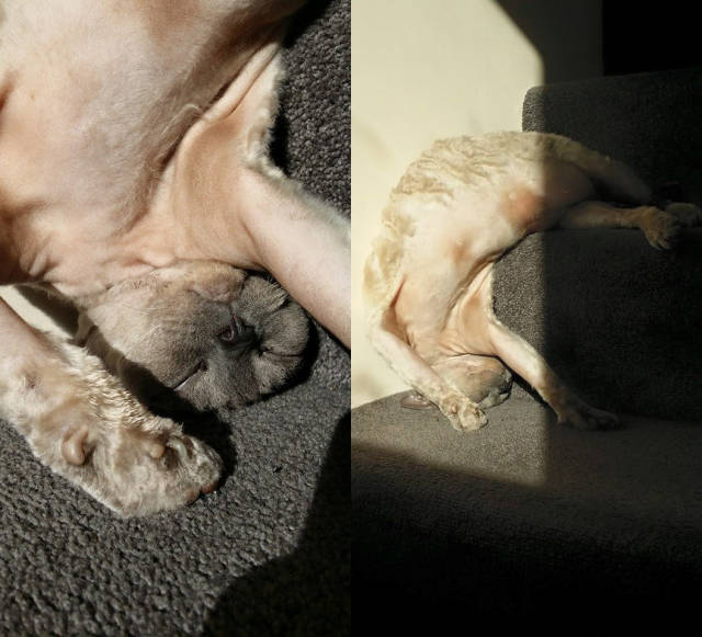 morning picdump 50 pics 20.html - 50 HD Photos | Premium Gallery 2015