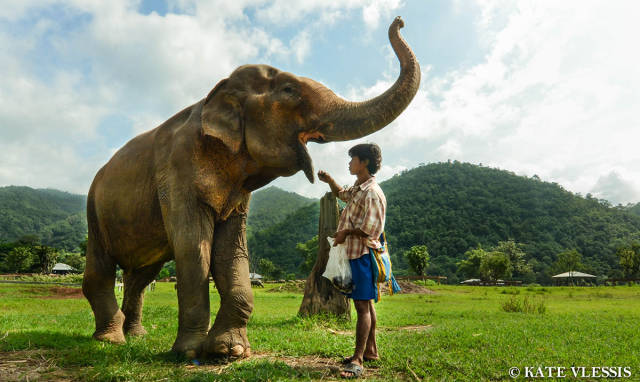 morning picdump 50 pics 20.html - 50 HD Photos | Premium Gallery 2015