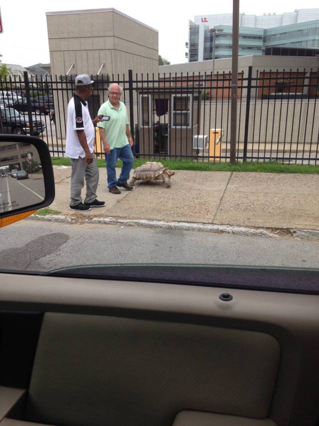 morning picdump 50 pics 20.html - 50 HD Photos | Premium Gallery 2015