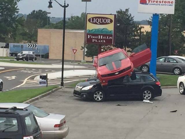 morning picdump 50 pics 19.html - 50 HD Photos | Premium Gallery 2015