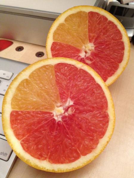 morning picdump 52 pics 18.html - 52 HD Photos | Premium Gallery 2015