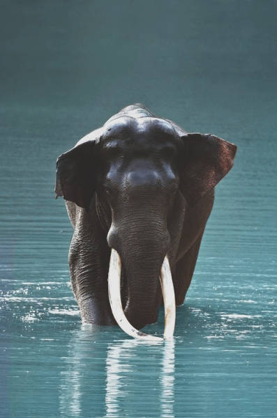 morning picdump 52 pics 18.html - 52 HD Photos | Premium Gallery 2015