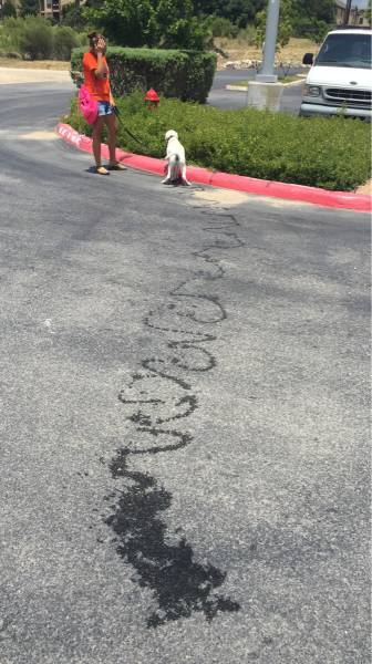 morning picdump 52 pics 18.html - 52 HD Photos | Premium Gallery 2015