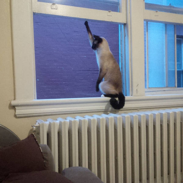 morning picdump 52 pics 18.html - 52 HD Photos | Premium Gallery 2015