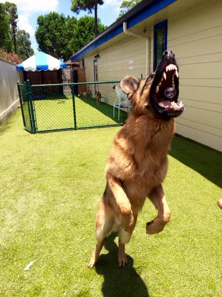 morning picdump 51 pics 5.html - 51 HD Photos | Premium Gallery 2015