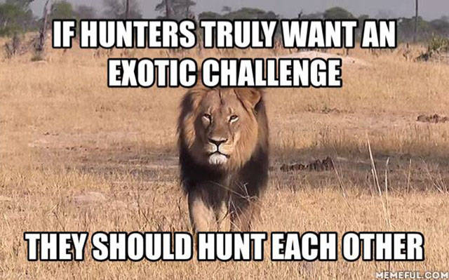 page,5,top 450 funny pics of the year 2015.html - 1 HD Photos | Premium Gallery 2015