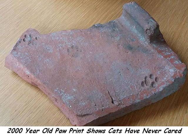 page,52,top 1500 daily pics of the year 2015.html - 1 HD Photos | Premium Gallery 2015