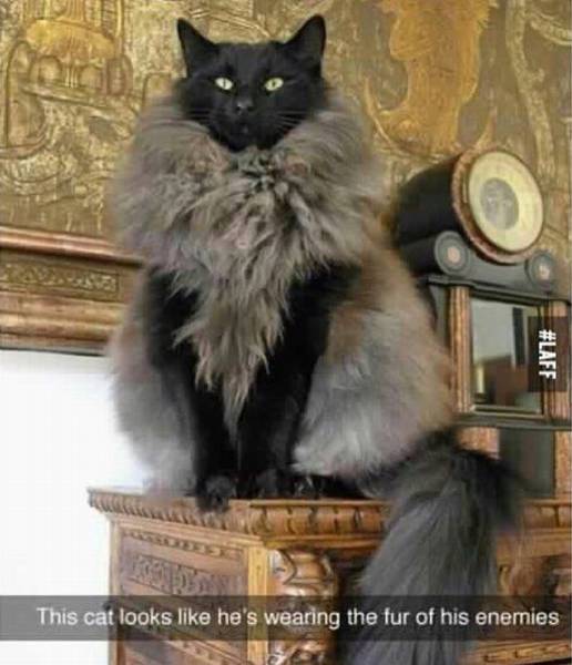 page,53,top 1500 daily pics of the year 2015.html - 1 HD Photos | Premium Gallery 2015