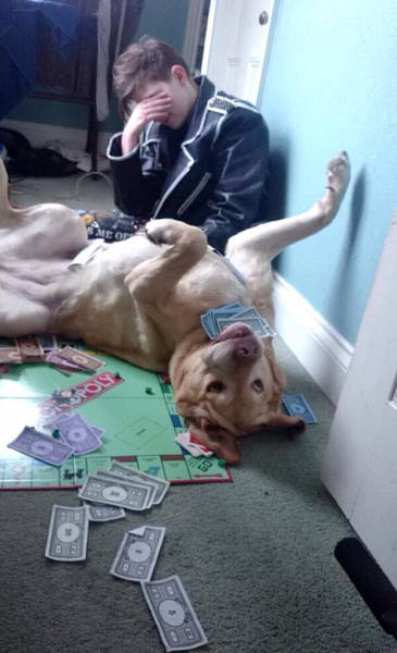 morning picdump 55 pics 12.html - 55 HD Photos | Premium Gallery 2015