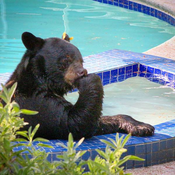 morning picdump 55 pics 12.html - 55 HD Photos | Premium Gallery 2015