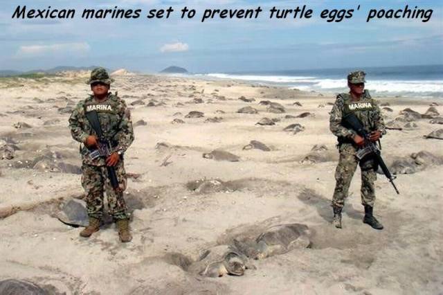 page,16,top 1500 daily pics of the year 2015.html - 1 HD Photos | Premium Gallery 2015