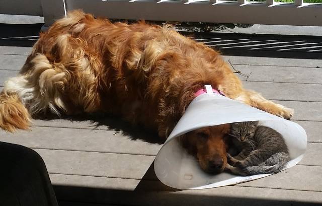 Morning Picdump