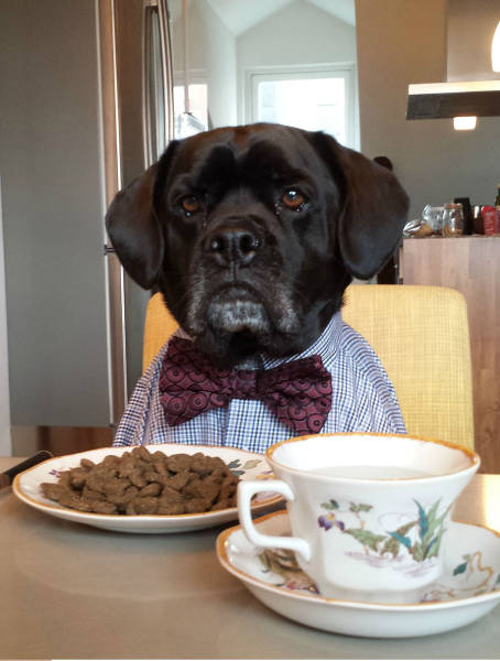 Morning Picdump