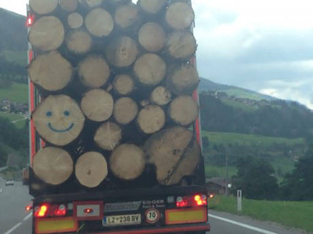 Morning Picdump