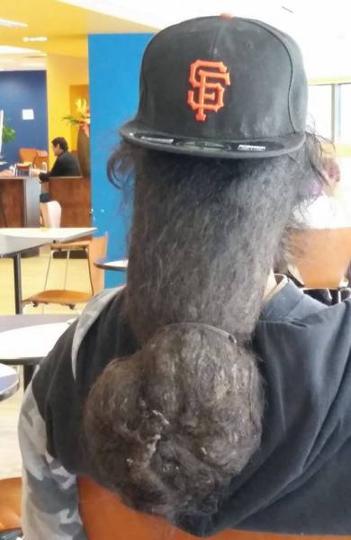 Morning Picdump