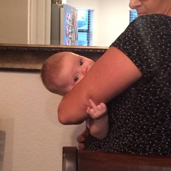 Morning Picdump