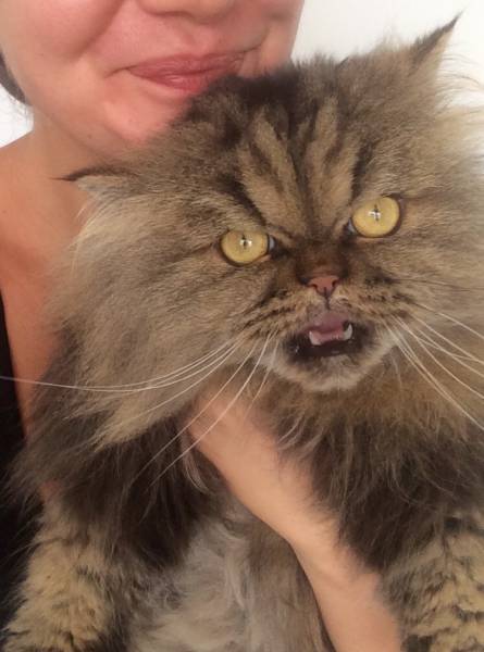Morning Picdump