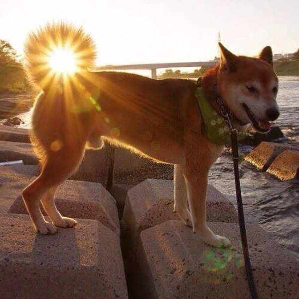 Morning Picdump