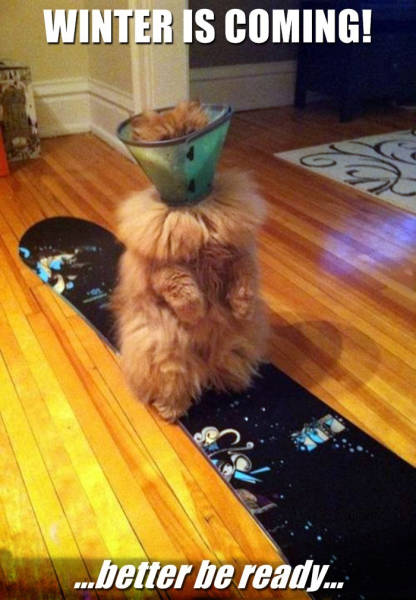 Funny Picdump