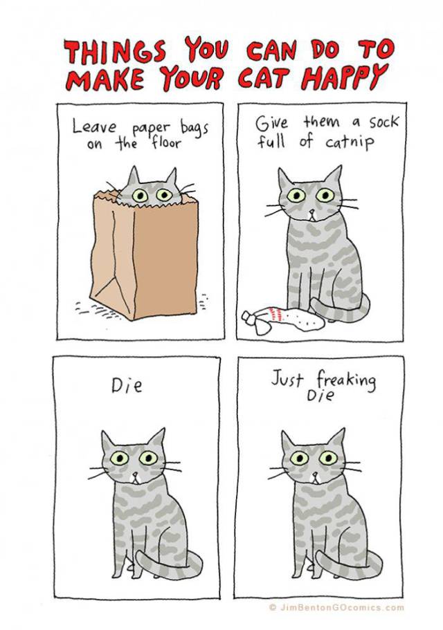 Funny Picdump