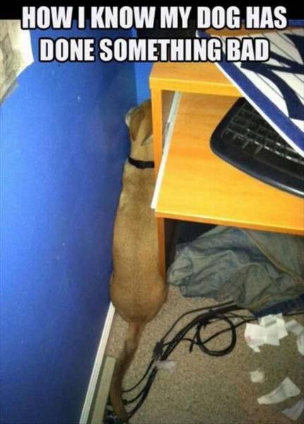 page,54,top 1500 daily pics of the year 2015.html - 1 HD Photos | Premium Gallery 2015