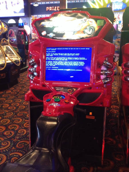 Morning Picdump