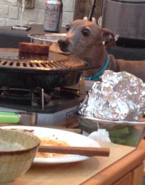 morning picdump 52 pics 6.html - 52 HD Photos | Premium Gallery 2015