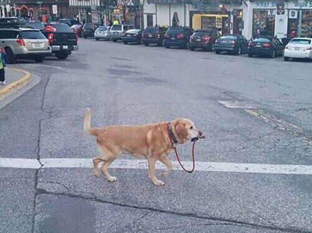 morning picdump 52 pics 6.html - 52 HD Photos | Premium Gallery 2015