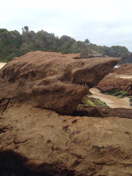 morning picdump 52 pics 6.html - 52 HD Photos | Premium Gallery 2015