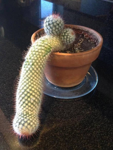 Morning Picdump