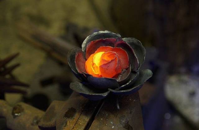 page,40,top 1500 daily pics of the year 2015.html - 1 HD Photos | Premium Gallery 2015