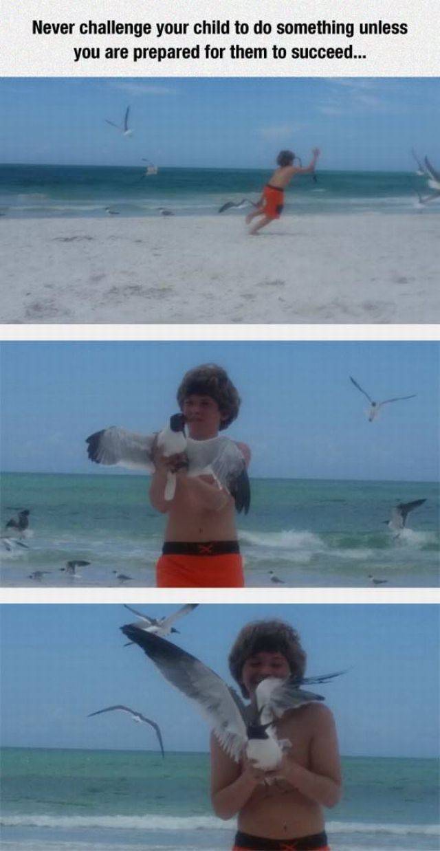 Daily Picdump