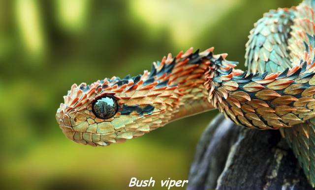 page,54,top 1500 daily pics of the year 2015.html - 1 HD Photos | Premium Gallery 2015