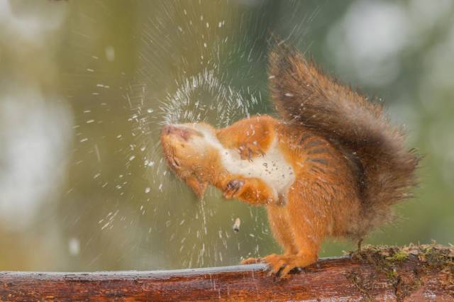 page,40,top 1500 daily pics of the year 2015.html - 1 HD Photos | Premium Gallery 2015