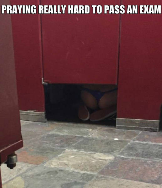 page,13,top 450 funny pics of the year 2015.html - 1 HD Photos | Premium Gallery 2015