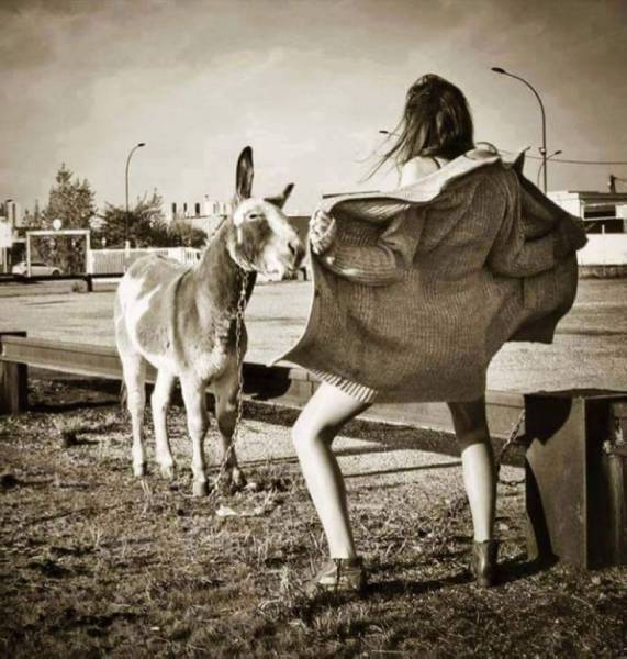 page,30,top 1500 daily pics of the year 2015.html - 1 HD Photos | Premium Gallery 2015