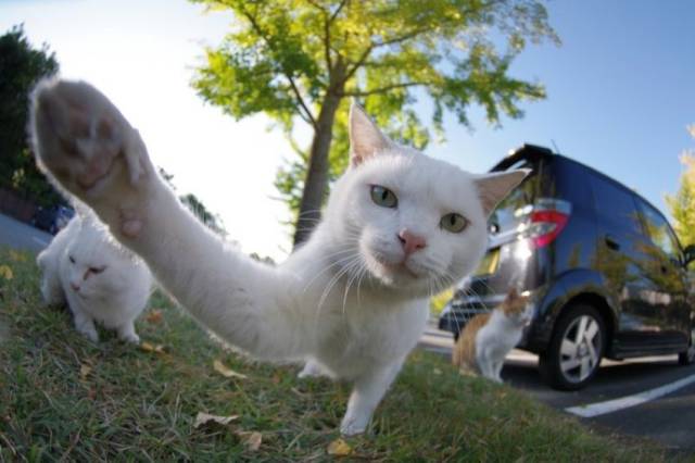 Daily Picdump