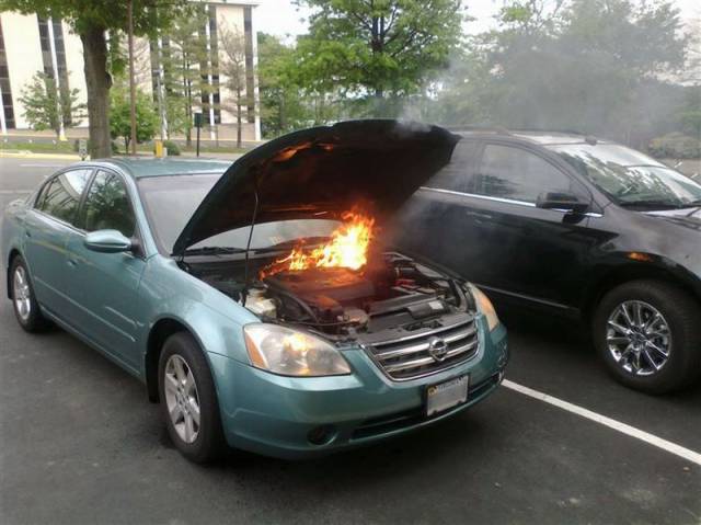 Daily Picdump