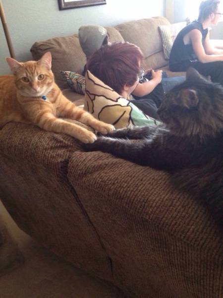 Daily Picdump