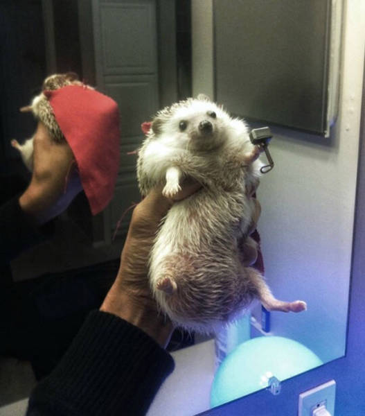 Morning Picdump