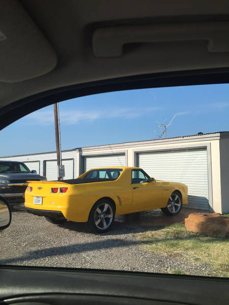 Morning Picdump