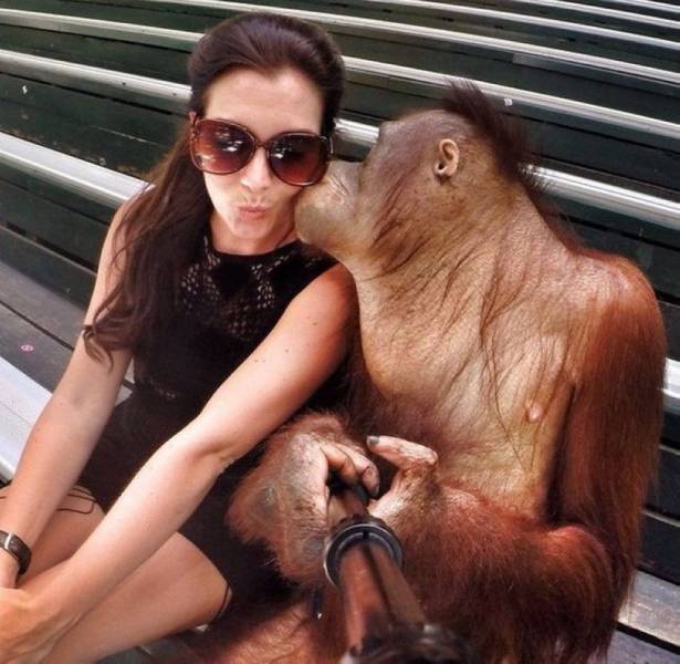 page,56,top 1500 daily pics of the year 2015.html - 1 HD Photos | Premium Gallery 2015