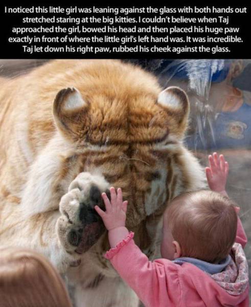 page,30,top 1500 daily pics of the year 2015.html - 1 HD Photos | Premium Gallery 2015